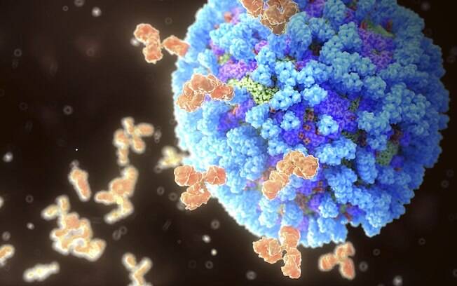 O perigo do mito sobre 'fortalecer' o sistema imunológico