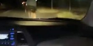 EUA: terceiro adolescente é preso após atropelar e matar ciclista