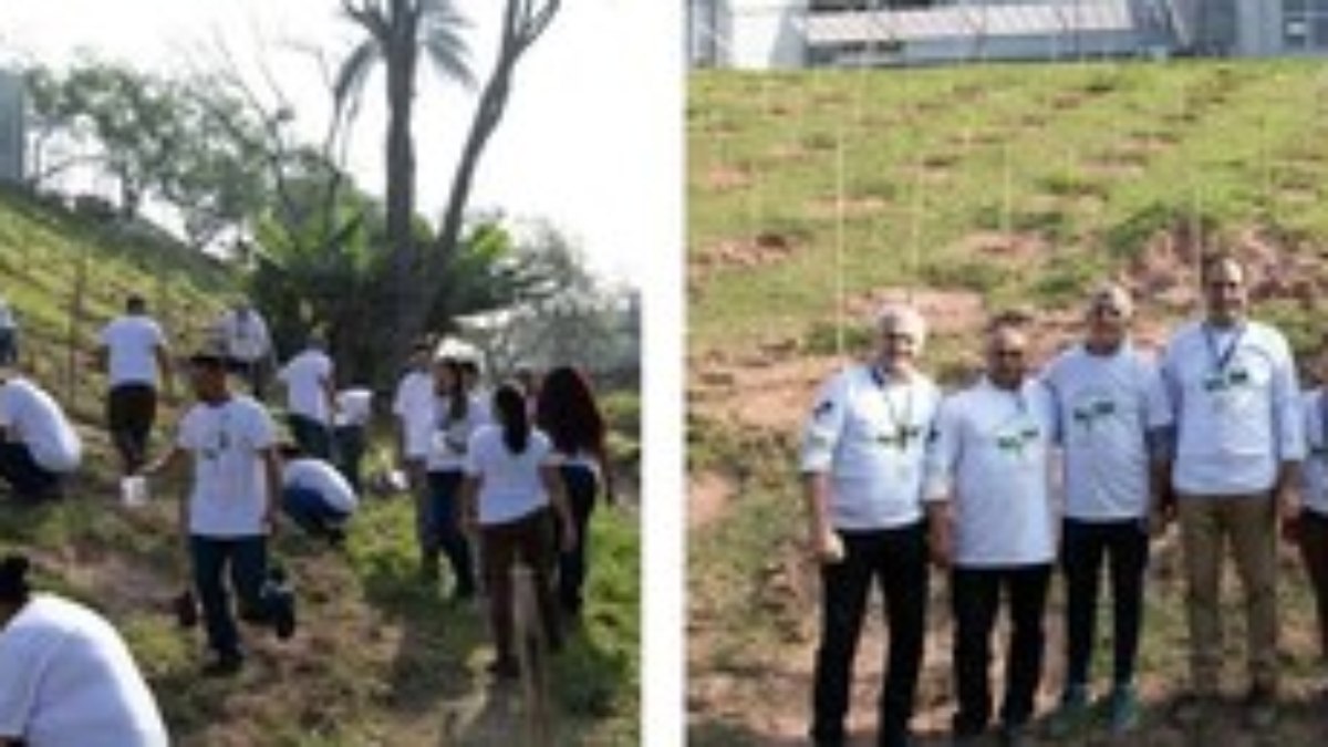 Companhia Brasileira de Cartuchos realiza o plantio de 2 mil mudas de árvores nativas Companhia Brasileira de Cartuchos realiza o plantio de 2 mil mudas de árvores nativas