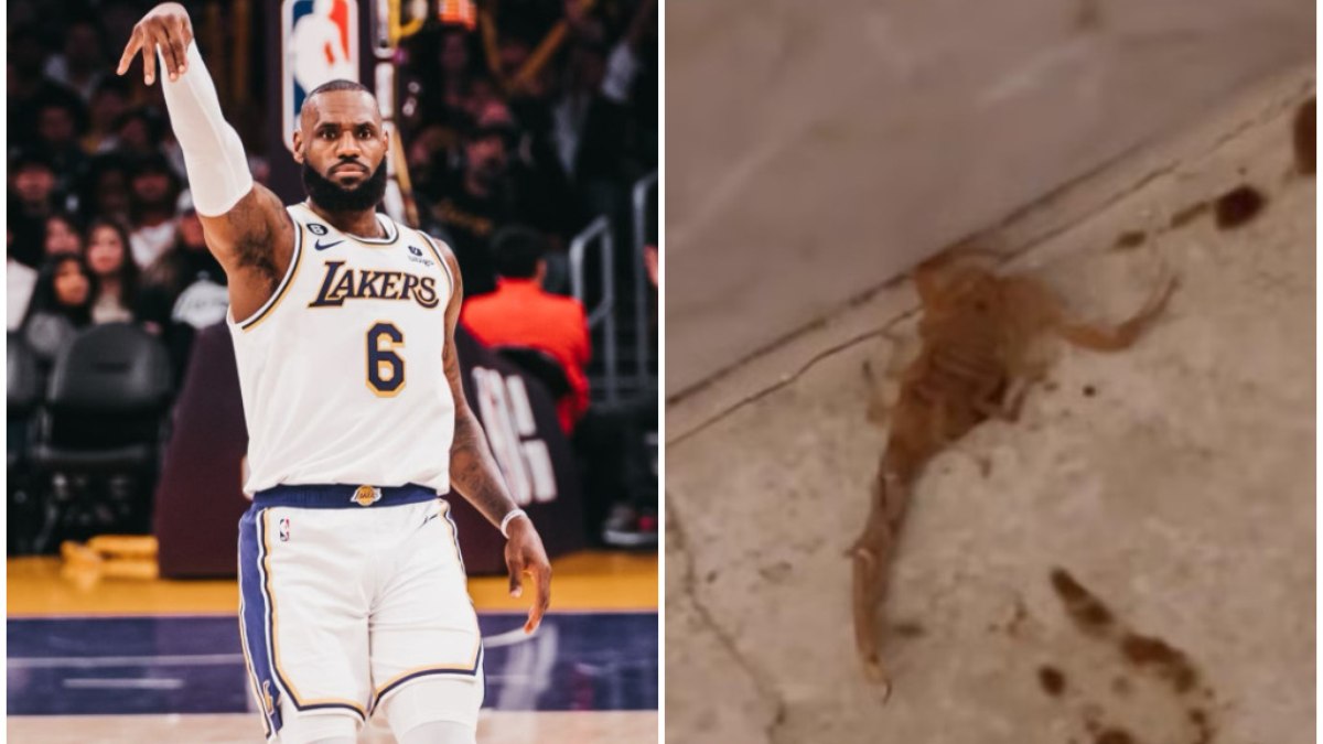 LeBron James quase foi picado por escorpião