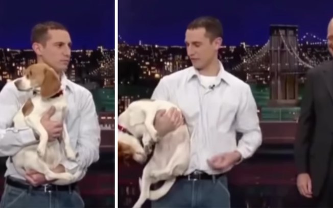 Dvz03aj1c4xs3wx7ym4ff64o1