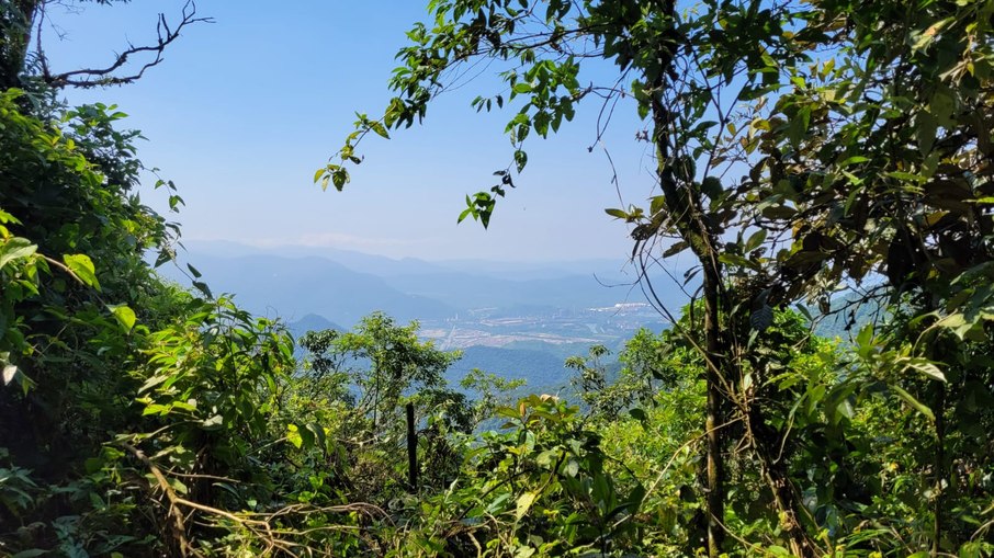 Trilha da Cachoeira da Torre possuí extensão de 274 hectares Trilha da Cachoeira da Torre possuí extensão de 274 hectares