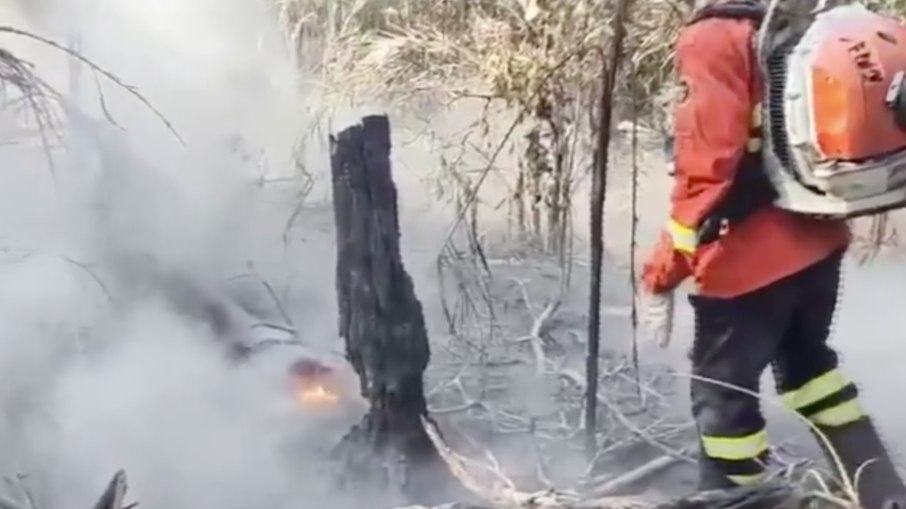 Pantanal registra recordes de incêndio do mês de novembro em 13 dias