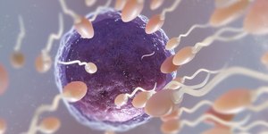 Esperma de doador com mutação ligada ao câncer gerou 197 crianças