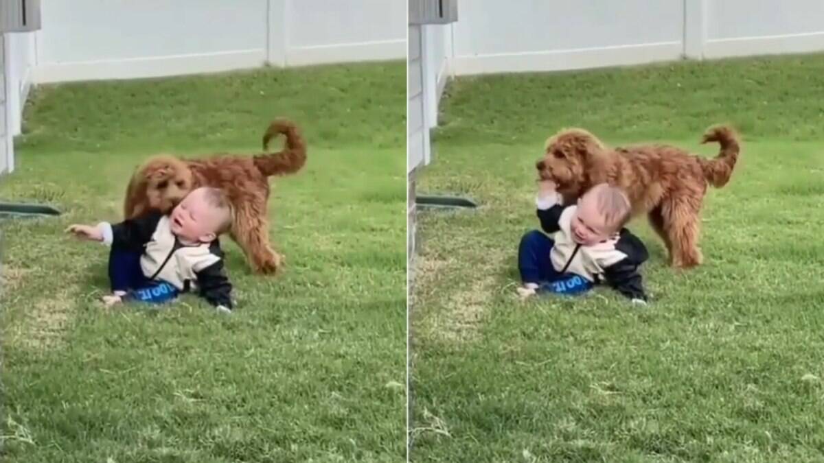 Que fofura! Bebê cai na gargalhada quando leva bronca do pai 