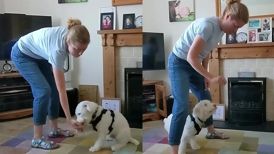 Jo Lee Page ensinando truques ao cachorro