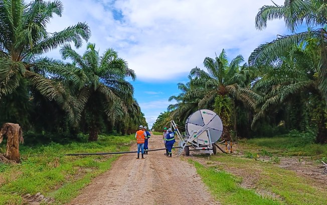 Grupo BBF desenvolve projeto de adubação sustentável no Pará