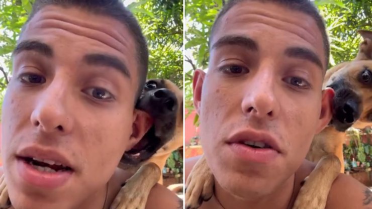 Cachorro%20interrompe%20reflex%C3%A3o%20do%20tutor%20para%20morder%20suas%20orelhas