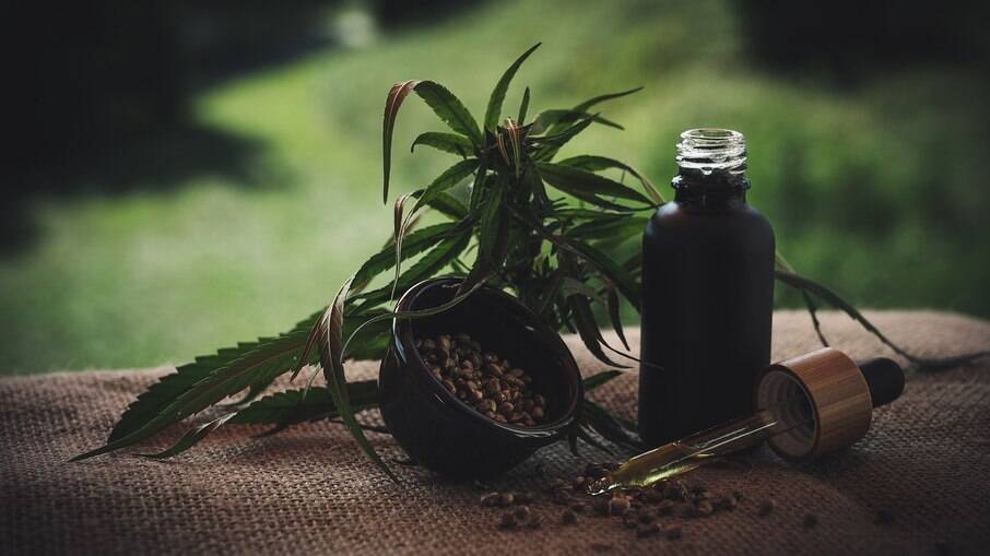 Óleo de CBD é um dos medicamentos produzidos a partir da maconha.