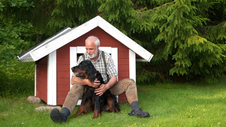 4 tipos de casinha para cachorro