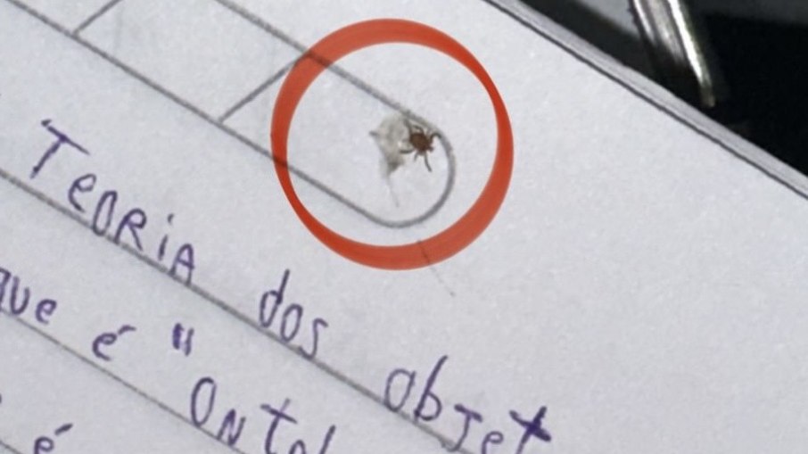 Carrapato foi encontrado no caderno de um estudante Carrapato foi encontrado no caderno de um estudante