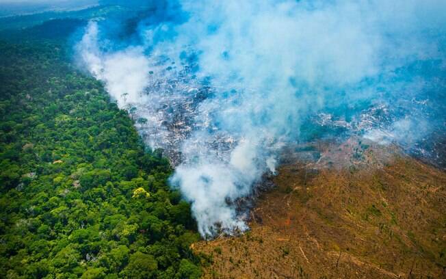 Desmatamento na Amazônia foi o pior em cinco anos no mês de junho