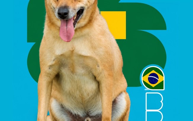 <div>"Cãovocação" coloca pets de canil na disputa por um lar</div> Dzl3ghwcfztgcj78kmki6ld9p