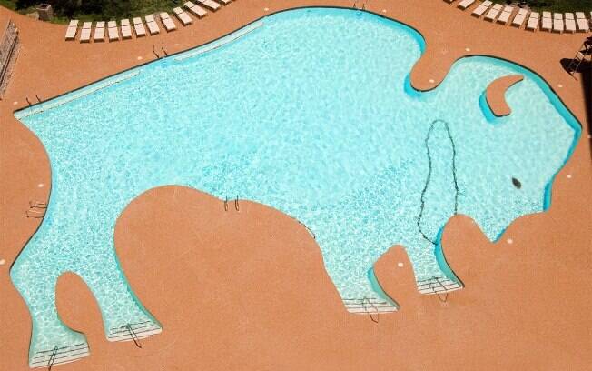 Nas lista de fotos de piscinas, a piscina em formato de búfalo é uma opção para quem ama animais e um prato de 