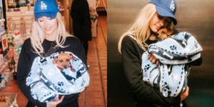 Paris Hilton adota cachorrinha desabrigada em meio aos incêndios de Los Angeles