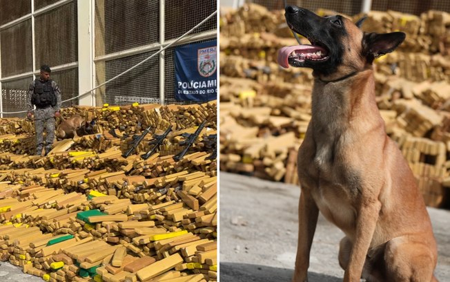 E06md1z6buzfrdyczgbozlywb