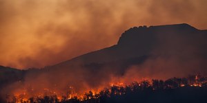 A face invisível da guerra: destruição ambiental e aquecimento global