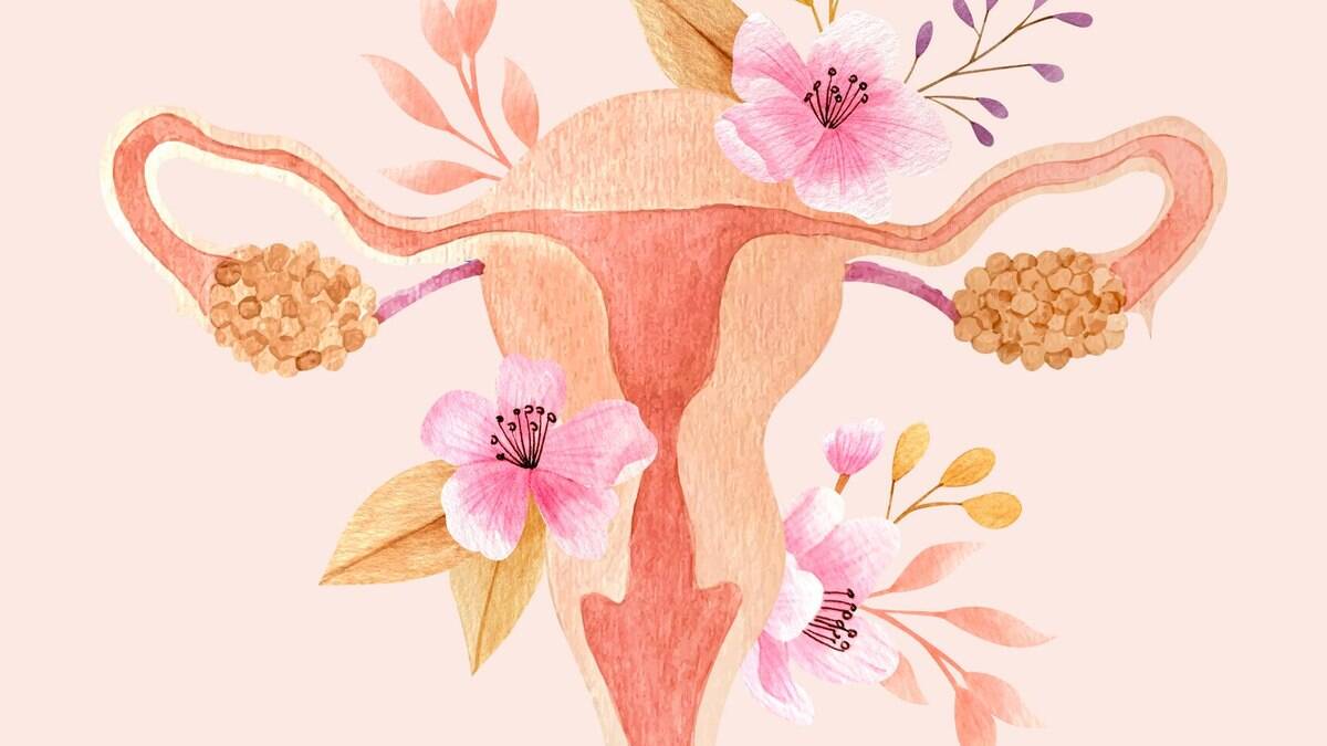 5 dúvidas comuns sobre menstruação, EdiCase