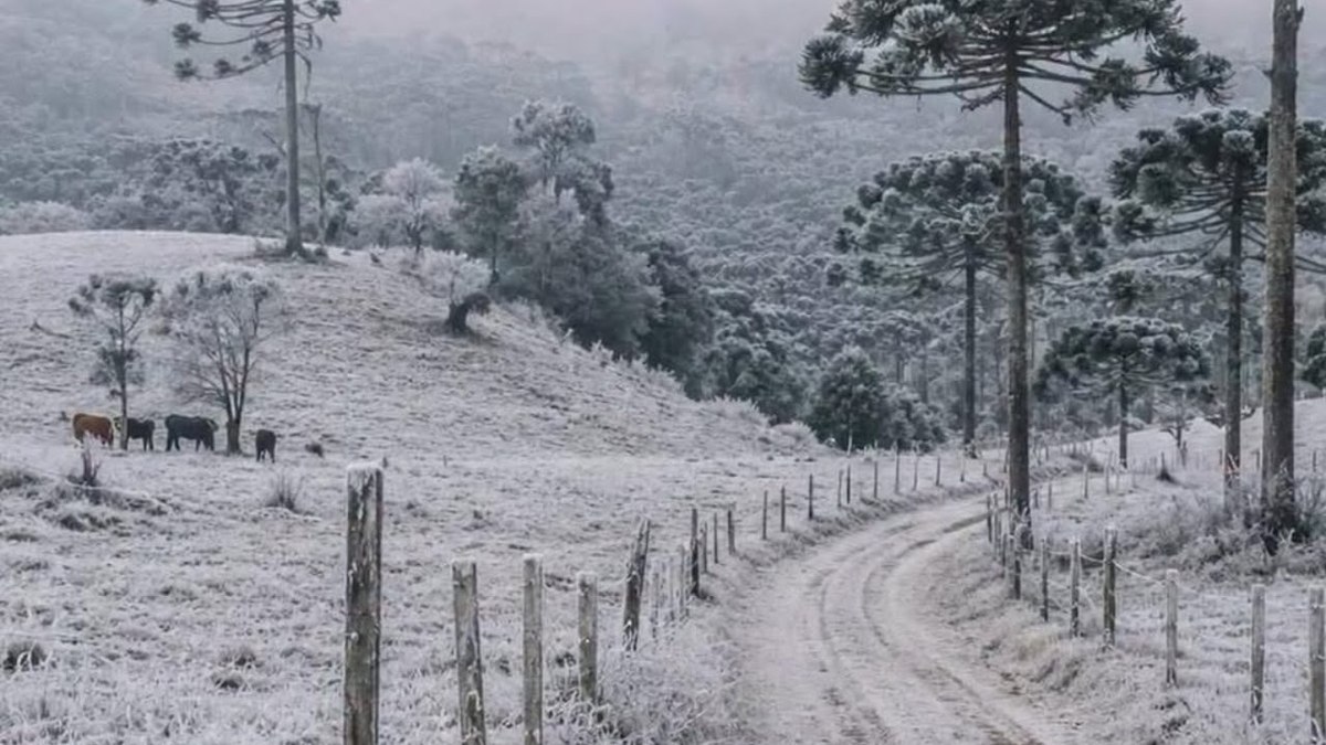 Geada em Bom Jardim da Serra (SC) nesta quarta-feira (24)