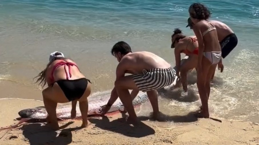 O peixe-remo vive a mais de 200 metros de profundidade