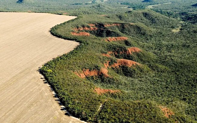 Cerrado ultrapassa Amazôna em desmatamento