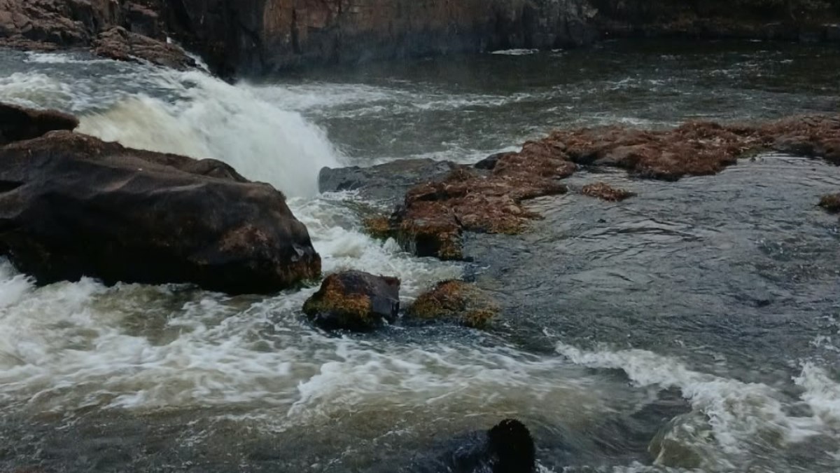 Jovem atravessava um trecho de pedras quando escorreu, bateu a cabeça e caiu no rio Jovem atravessava um trecho de pedras quando escorreu, bateu a cabeça e caiu no rio