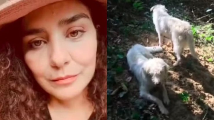 Letícia Sabatella fala sobre polêmica envolvendo seus cachorros