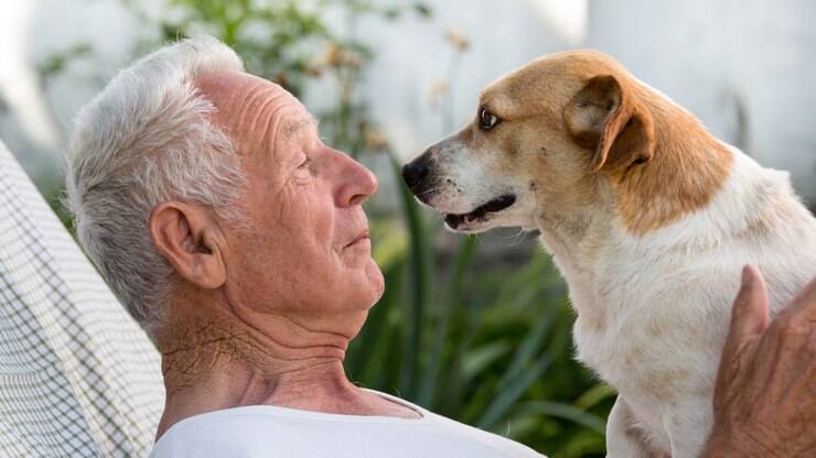 Convivência entre idosos e animais de estimação faz bem para saúde