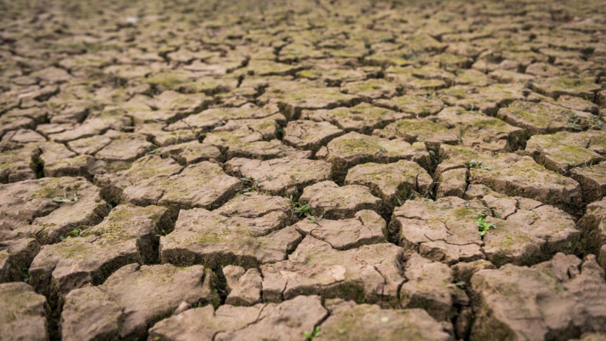 Estiagem no Amazonas leva a decreto de emergência por 180 dias