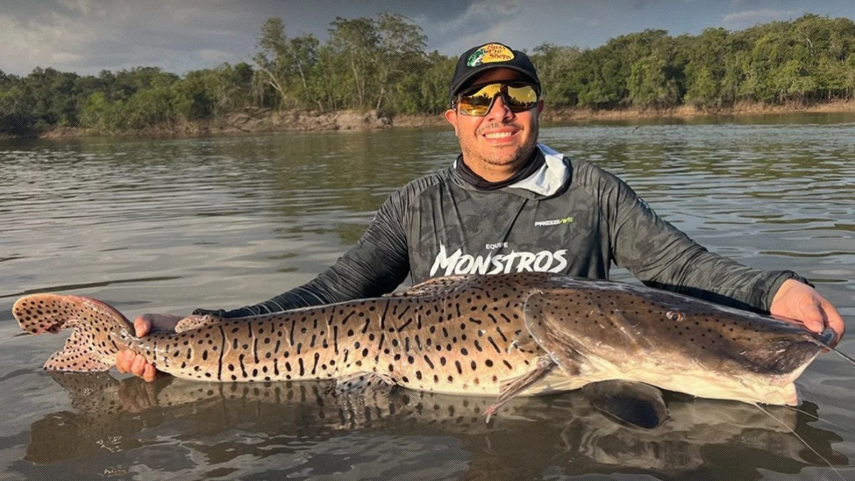 Pescador fisga surubim de 113 cm no rio Suia Miçu e bate recorde