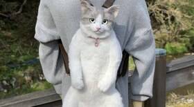 Mochila que parece gato de verdade está em alta no Japão 