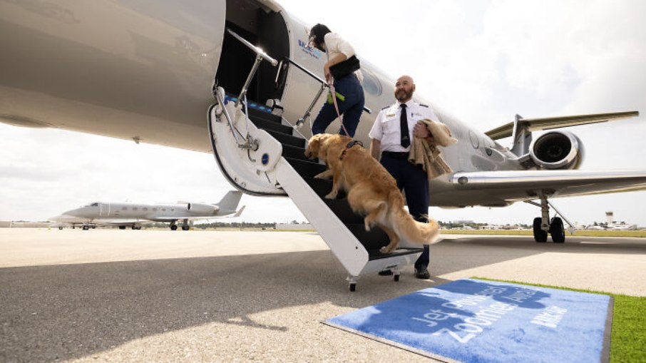 A companhia Bark Air lançou o primeiro voo 100% dedicado aos cachorros