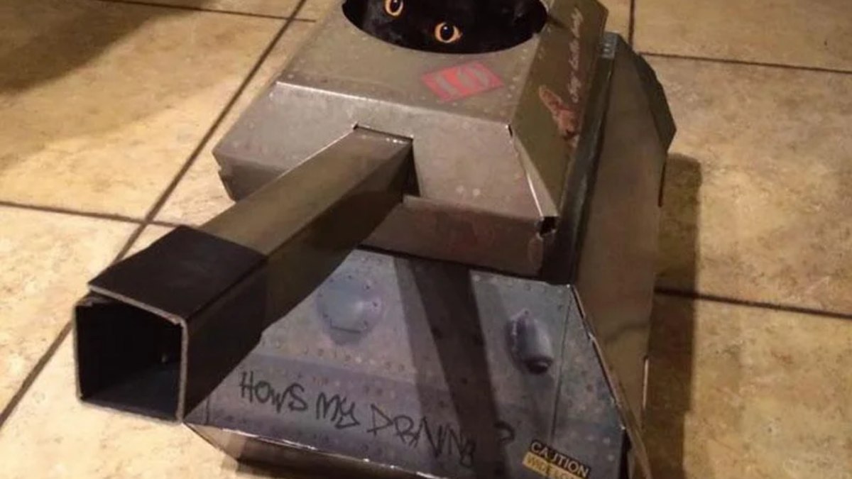 Um mini tanque de guerra fábricado especialmente para os bichanos