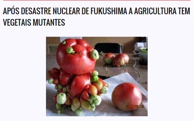 Tomates radioativos aconteceram de verdade em fUKUSHIMA