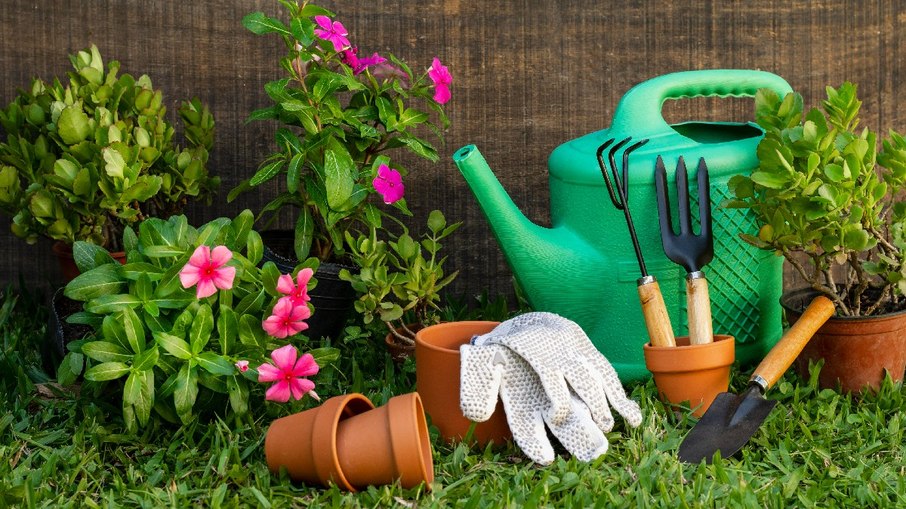 Artigos de jardinagem estão em promoção na Amazon