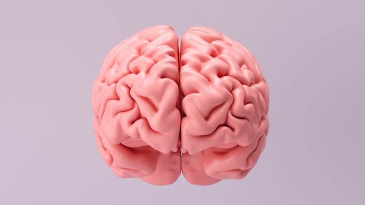 Cérebro fica mais velho com noites de sono mal dormidas, indica estudo