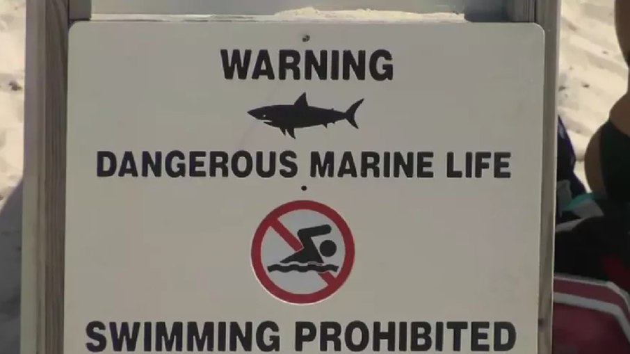Tubarão atacou salva-vidas durante treinamento, nos Estados Unidos