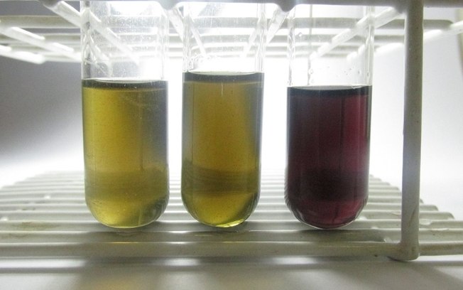 Unesp Araraquara tem teste rápido e barato para detectar metanol em bebidas