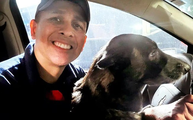 Cães ganham novos lares após fim de canil da Guarda Municipal E4feltvp8ks8gxnq5skv0rnye