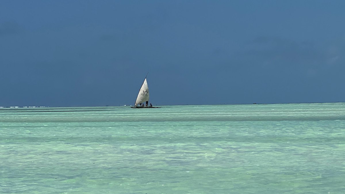 Mar azul de Zanzibar Mar azul de Zanzibar