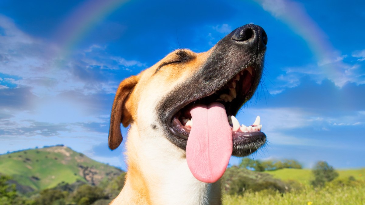 E4pwll38nrnh8cftjccwz5qzi