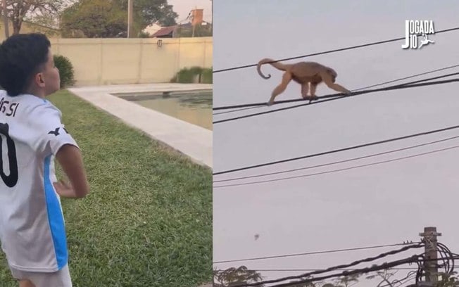 Criança com a camisa da Argentina imita um macaco e chama o animal de Vini Jr