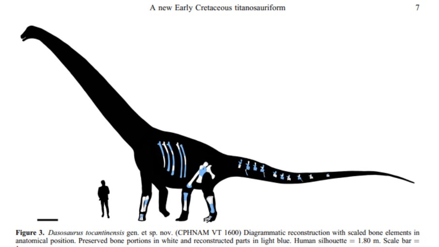 Estudo compara tamanho de dinossauro com o ser humano