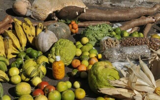 Várias culturas da agricultura estão envolvidas na cartilha Várias culturas da agricultura estão envolvidas na cartilha