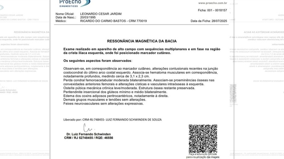 Laudo - Léo Jardim Laudo - Léo Jardim