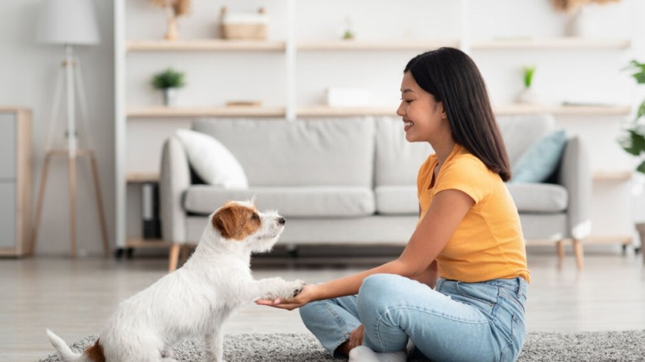 Novidade chega para atender a demanda de pessoas, familiares ou amigos, que dividem as responsabilidades e gastos com seus animais de estimação