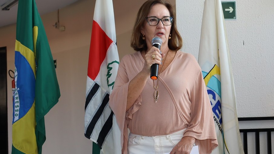 Vera Segatto, coordenadora do Ceprovi Vera Segatto, coordenadora do Ceprovi