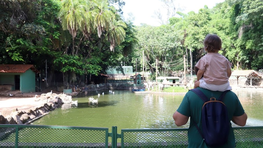 Bosque dos Jequitibás em Campinas