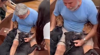 Homem se emociona ao resgatar quatro cães no Rio Grande do Sul