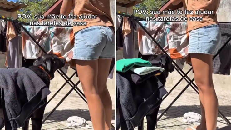 Cachorro%20encontra%20jeito%20de%20%22ajudar%22%20nas%20tarefas%20de%20casa
